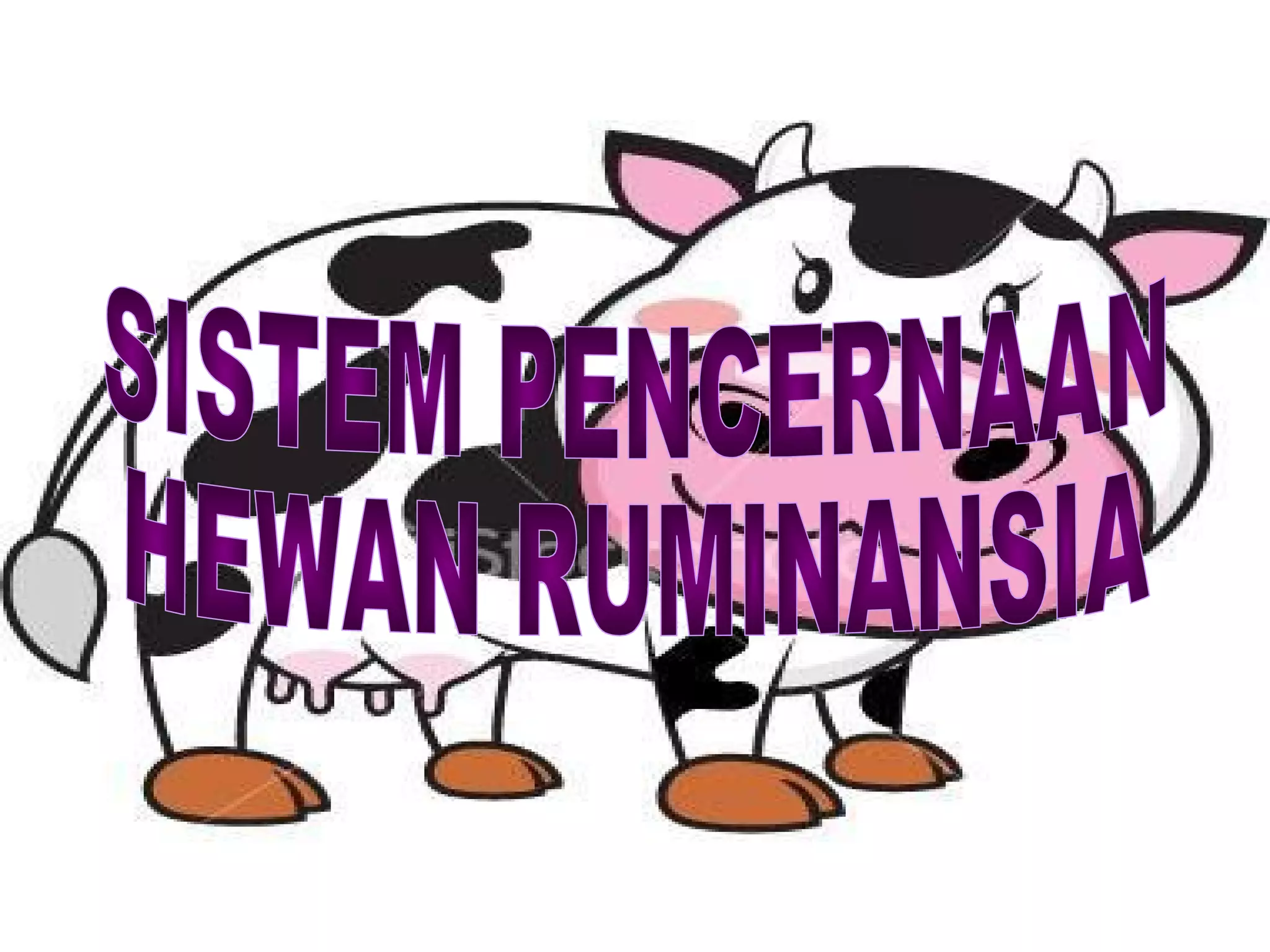 Pencernaan Ruminansia | PPT