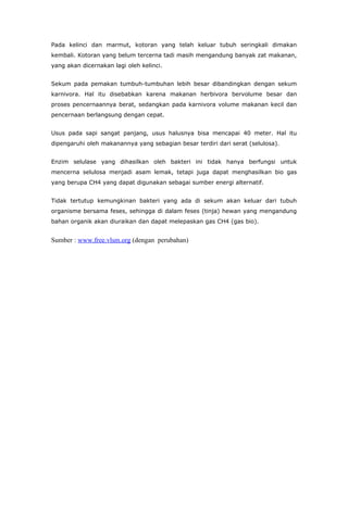 Sistem Pencernaan Makanan Pada Hewan Ruminansia