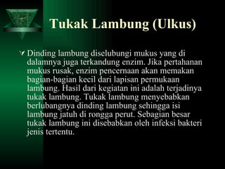 Tukak Lambung (Ulkus) Dinding lambung diselubungi mukus yang di dalamnya juga terkandung enzim. Jika pertahanan mukus rusak, enzim pencernaan akan memakan bagian-bagian kecil dari lapisan permukaan lambung. Hasil dari kegiatan ini adalah terjadinya tukak lambung. Tukak lambung menyebabkan berlubangnya dinding lambung sehingga isi lambung jatuh di rongga perut. Sebagian besar tukak lambung ini disebabkan oleh infeksi bakteri jenis tertentu.  