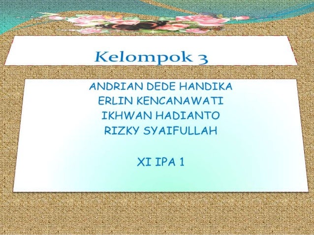 Jelaskan Perbedaan Antara Sistem Pencernaan Manusia Dengan