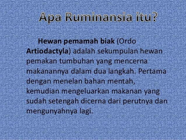 Pencernaan Pada Hewan Ruminansia