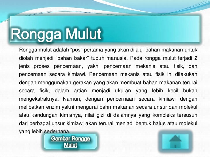 View Pencernaan Kimiawi Adalah Pencernaan Makanan Menggunakan Gif