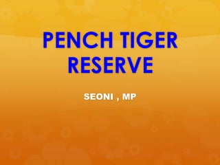 PENCH TIGER
RESERVE
SEONI , MP
 