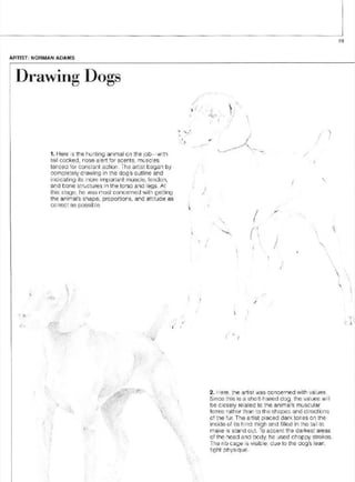 Pencil Drawing Techniques