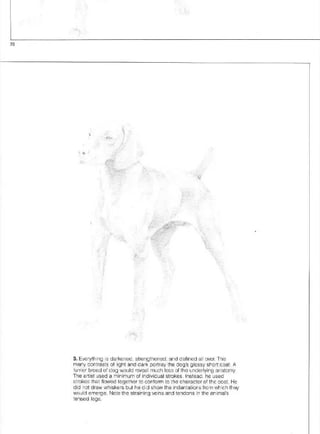 Pencil Drawing Techniques