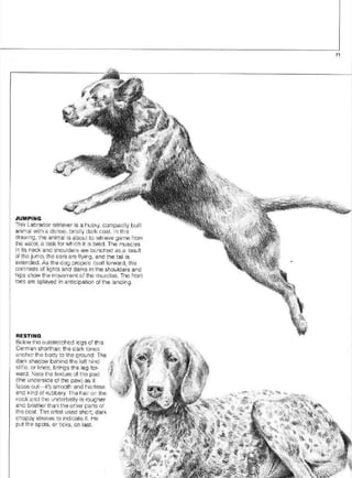 Pencil Drawing Techniques