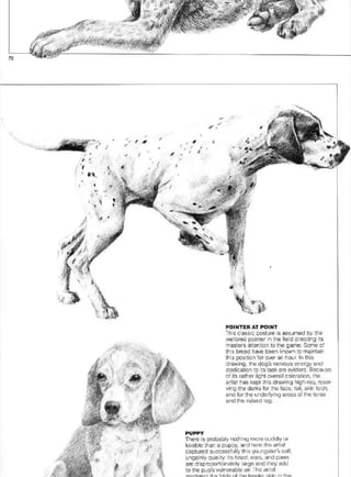 Pencil Drawing Techniques