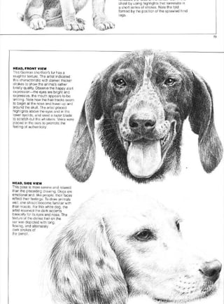 Pencil Drawing Techniques