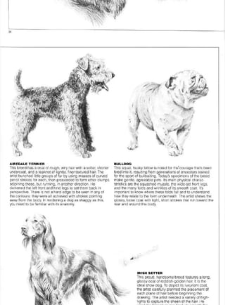 Pencil Drawing Techniques