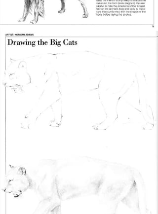 Pencil Drawing Techniques