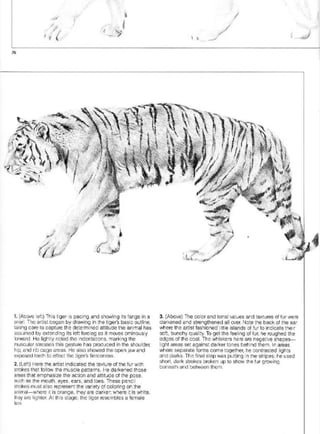 Pencil Drawing Techniques