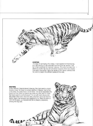 Pencil Drawing Techniques