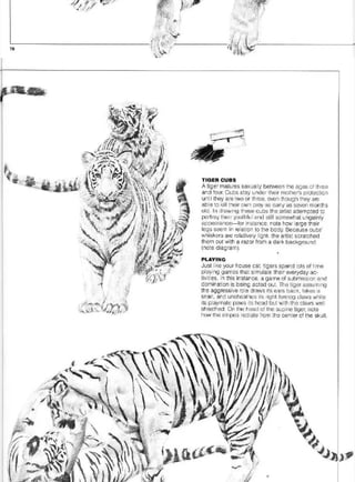 Pencil Drawing Techniques