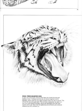 Pencil Drawing Techniques