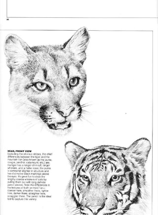 Pencil Drawing Techniques