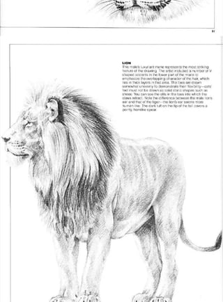 Pencil Drawing Techniques