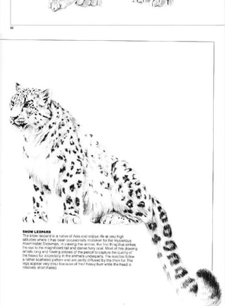 Pencil Drawing Techniques