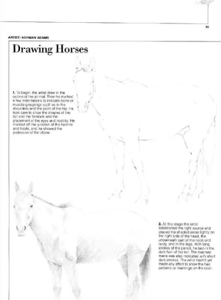 Pencil Drawing Techniques