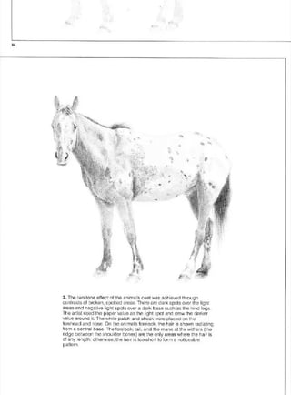 Pencil Drawing Techniques