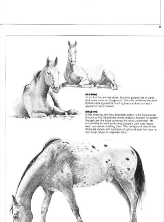 Pencil Drawing Techniques