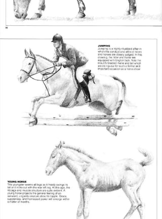 Pencil Drawing Techniques