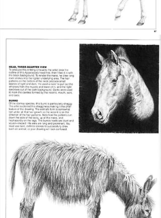 Pencil Drawing Techniques