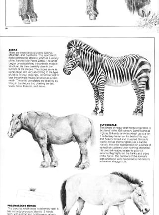 Pencil Drawing Techniques