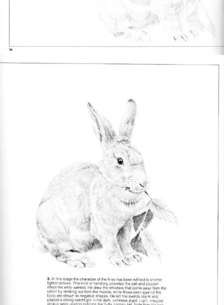 Pencil Drawing Techniques