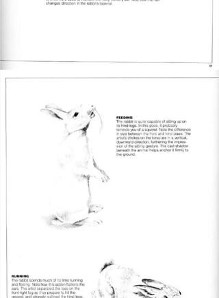 Pencil Drawing Techniques