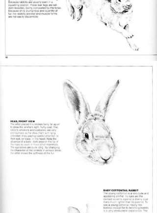 Pencil Drawing Techniques