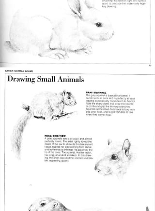Pencil Drawing Techniques