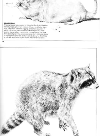 Pencil Drawing Techniques