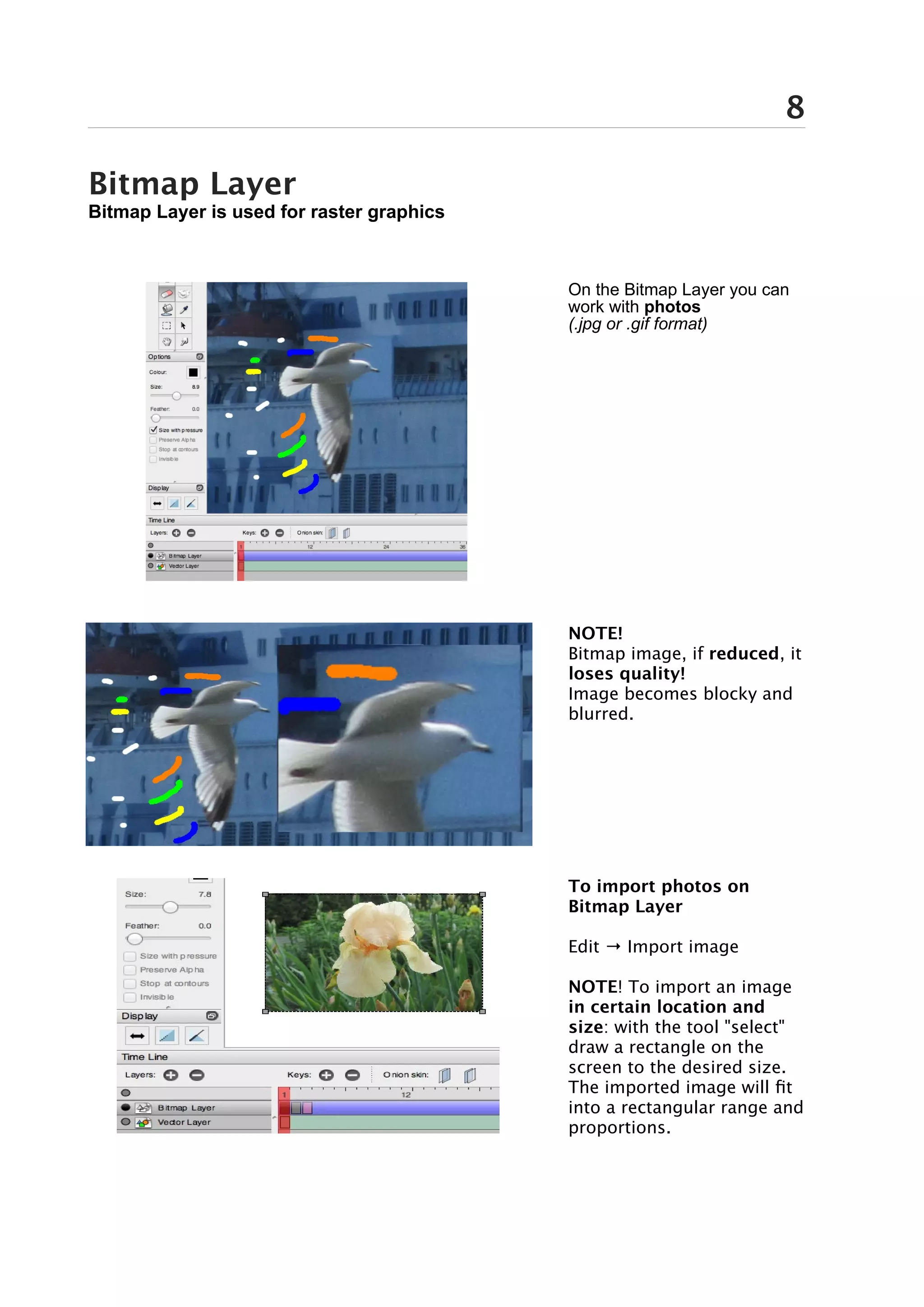 8

Bitmap Layer
Bitmap Layer is used for raster graphics



                                           On the Bitmap Layer you can
                                           work with photos
                                           (.jpg or .gif format)




                                           NOTE!
                                           Bitmap image, if reduced, it
                                           loses quality!
                                           Image becomes blocky and
                                           blurred.




                                           To import photos on
                                           Bitmap Layer

                                           Edit → Import image

                                           NOTE! To import an image
                                           in certain location and
                                           size: with the tool "select"
                                           draw a rectangle on the
                                           screen to the desired size.
                                           The imported image will fit
                                           into a rectangular range and
                                           proportions.
 