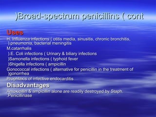 )Broad-spectrum penicillins ( cont
Uses
H. Influenza infections ( otitis media, sinusitis, chronic bronchitis,
).pneumonia, bacterial meningitis
M.catarrhalis
).E. Coli infections ( Urinary & biliary infections
)Samonella infections ( typhoid fever
)Shigella infections ( ampicillin
Gonococcal infections ( alternative for penicillin in the treatment of
)gonorrhea
Prophlaxis of infective endocarditis
Disadvantages
Amoxicillin & ampicillin alone are readily destroyed by Staph.
.Penicillinase
 