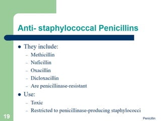Penicillin Antibiotics - Pharmacology | PDF