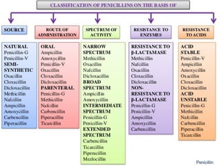 Penicillin Antibiotics - Pharmacology | PDF