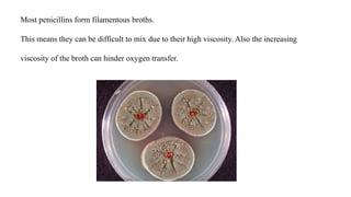 Most penicillins form filamentous broths.
This means they can be difficult to mix due to their high viscosity. Also the increasing
viscosity of the broth can hinder oxygen transfer.
 
