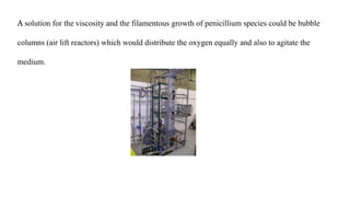 A solution for the viscosity and the filamentous growth of penicillium species could be bubble
columns (air lift reactors) which would distribute the oxygen equally and also to agitate the
medium.
 