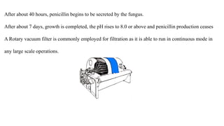 After about 40 hours, penicillin begins to be secreted by the fungus.
After about 7 days, growth is completed, the pH rises to 8.0 or above and penicillin production ceases
A Rotary vacuum filter is commonly employed for filtration as it is able to run in continuous mode in
any large scale operations.
 