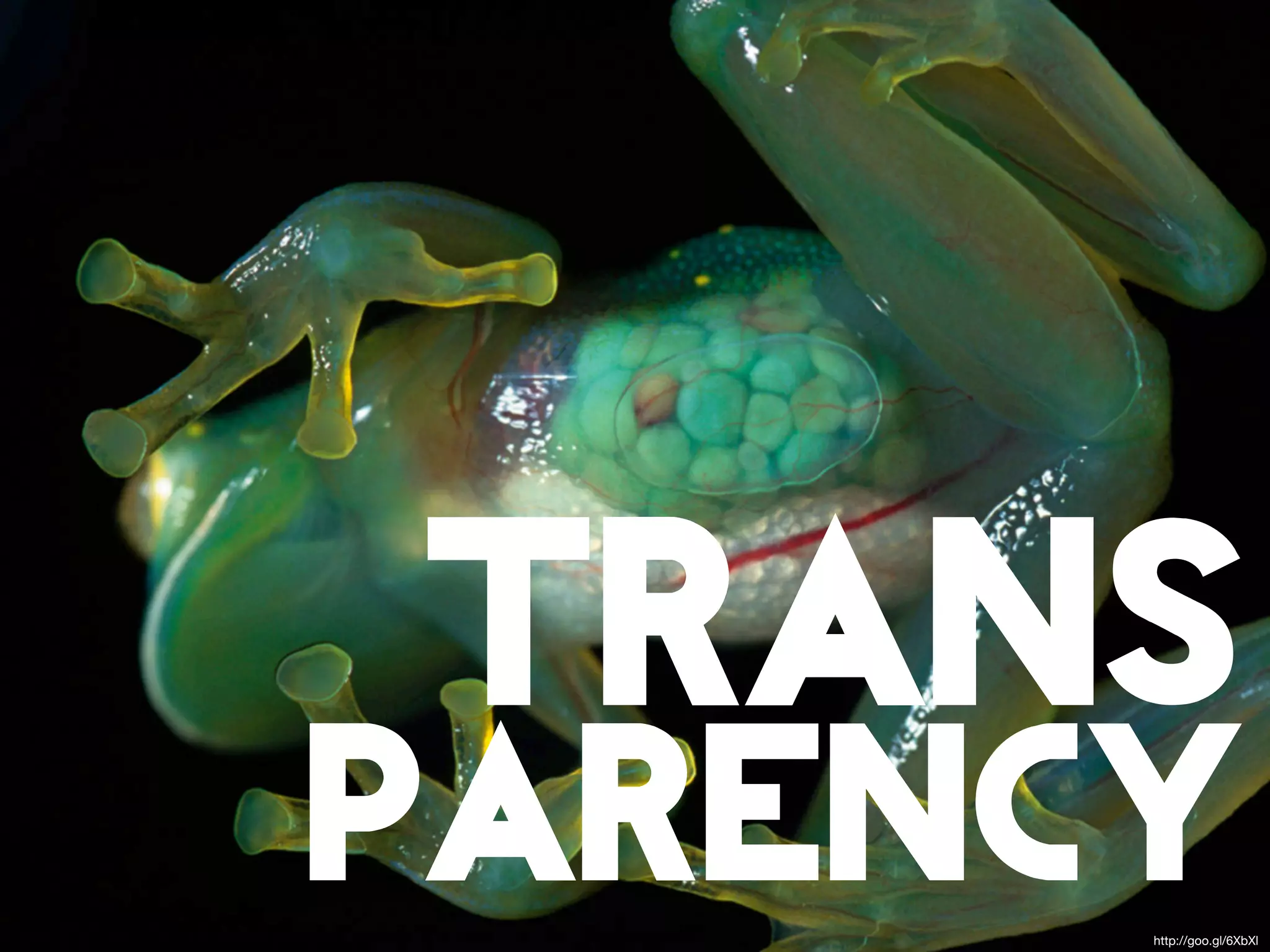 trans
parency
      http://goo.gl/6XbXl
 