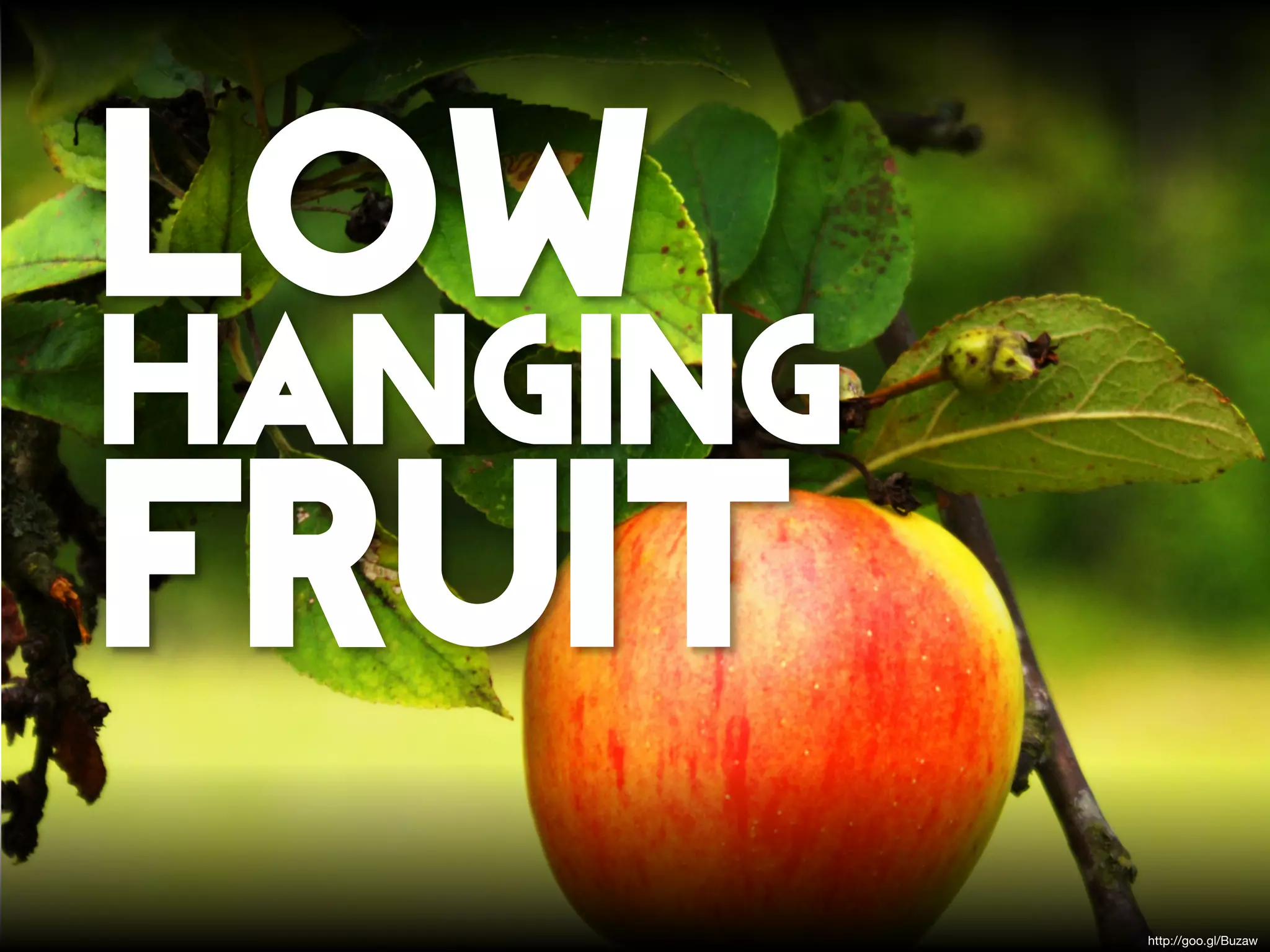 low
hanging
fruit
          http://goo.gl/Buzaw
 