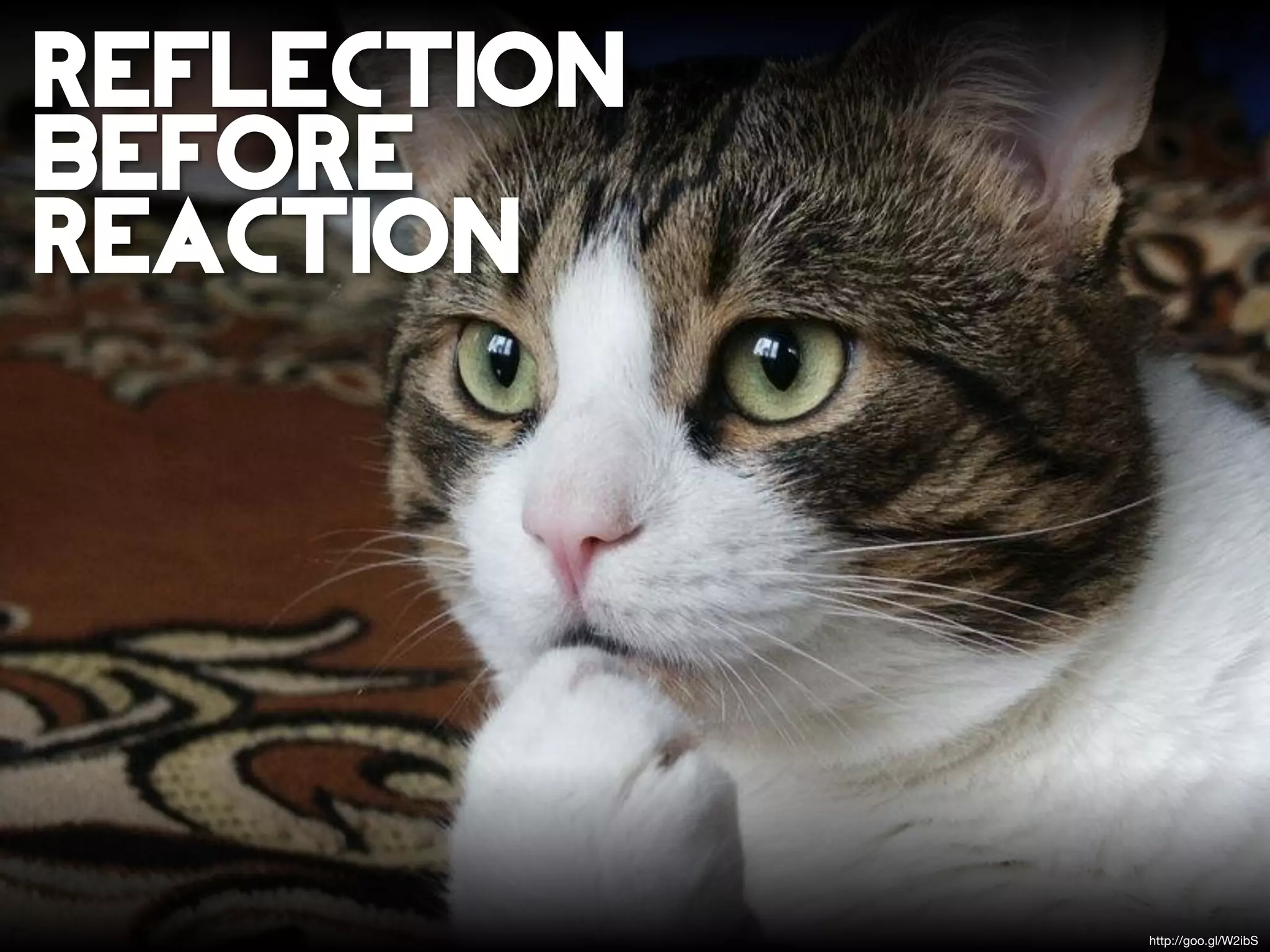 reflection
before
reaction




             http://goo.gl/W2ibS
 