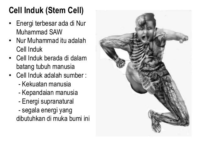 Penciptaan nur muhammad makalah