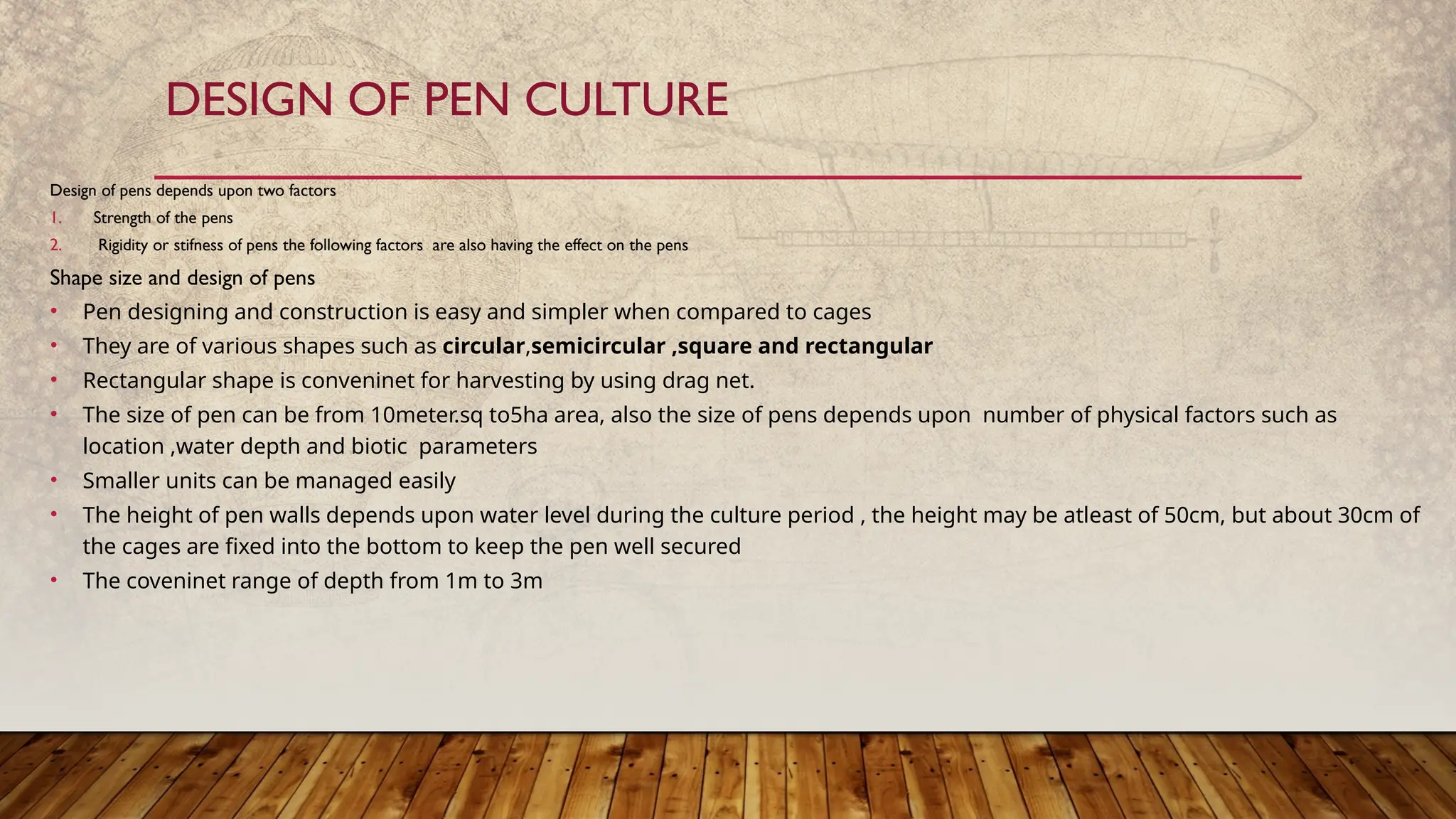 pen culture aqc.pptx design history shape and size species etc | PPTX