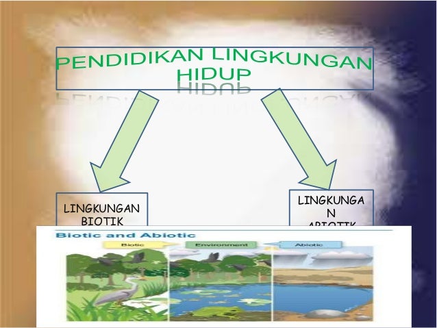 Lingkungan Biotik Dan Abiotik