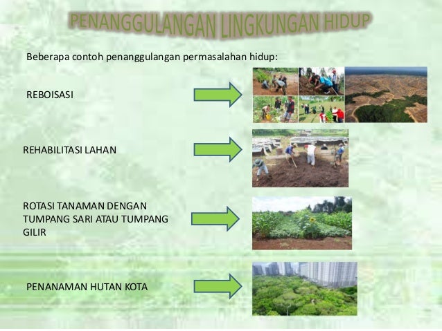 Contoh Lingkungan Biotik Dan Abiotik Contoh Resource