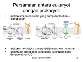 Persamaan antara eukaryot
         dengan prokaryot:
•   mekanisme fotosintesis yang sama (tumbuhan –
    sianobakteri)




•   mekanisme sintesa dan penyisipan protein membran
•   konstruksi proteosom yang sama (archaebacteria
    dengan eukaryot)
                   BISEL07-SITH/ITB-MIT/IR             13
 