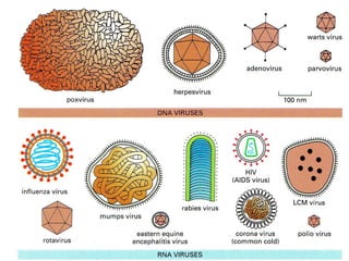 BISEL07-SITH/ITB-MIT/IR   19
 