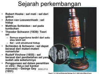 Sejarah perkembangan
•   Robert Hooke : sel mati : sel dari
    gabus
•   Anton van Leeuwenhoek : sel
    hidup
•   Matthias Schleiden : sel pada
    tumbuhan
•   Theodor Schwann (1839): Teori
    sel
     – Semua organisma terdiri dari satu
       atau lebih sel
     – Sel : unit struktural hidup
•   Schleiden & Schwann : sel dapat
    berasal dari materi-materi
    nonselular
•   Rudolf Virchow (1855) : sel
    berasal dari pembelahan sel yang
    sudah ada sebelumnya
•   Penggunaan sel dalam penelitian
    in vitro : HeLa (sel kanker
    manusia) – George Gey BISEL07-SITH/ITB-MIT/IR   2
    (1951)
 