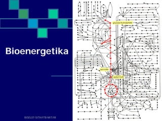 Bioenergetika




   BISEL07-SITH/ITB-MIT/IR   20
 